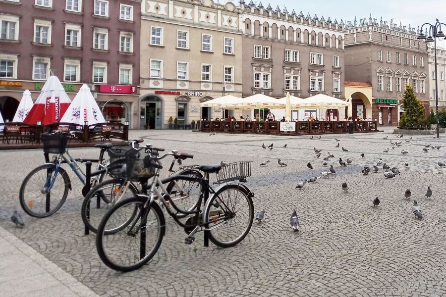 42 km nowej trasy rowerowej. Racibórz rozpoczyna realizację projektu